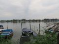 IMG 5542